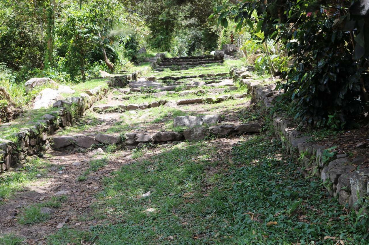 Llactapata Lodge Overlooking Machu Picchu - Camping - Restaurant Salcantay Zewnętrze zdjęcie