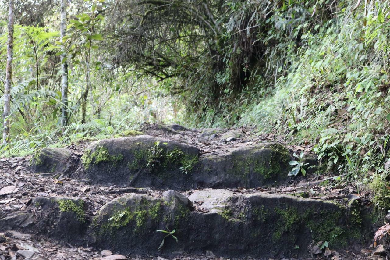 Llactapata Lodge Overlooking Machu Picchu - Camping - Restaurant Salcantay Zewnętrze zdjęcie